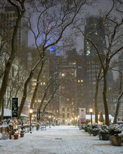 Load image into Gallery viewer, SOKKIE Christmas Stocking - Winter Scenes