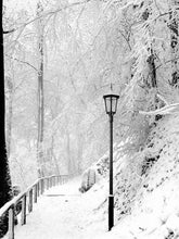 Load image into Gallery viewer, SOKKIE Christmas Stocking - Winter Scenes
