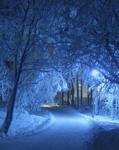 Load image into Gallery viewer, SOKKIE Christmas Stocking - Winter Scenes
