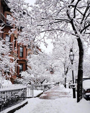 Load image into Gallery viewer, SOKKIE Christmas Stocking - Winter Scenes
